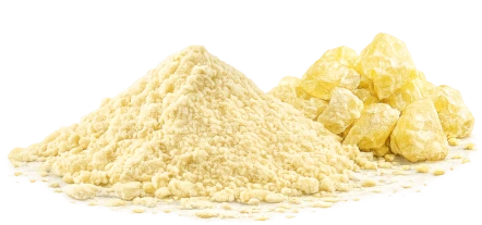 Alpha-Lipoic Acid (ALA)