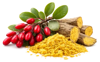 Berberine HCL