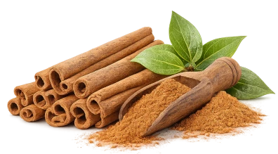 Cinnamon Bark Extract