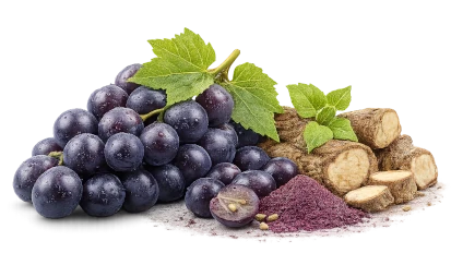 Resveratrol